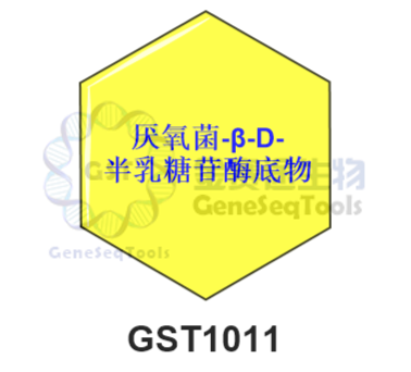 厌氧菌-β-D-半乳糖苷酶底物结构式示意图